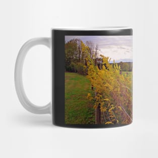 Fall Wildflowers Beautiful Autumn Season Peaceful Landscape Photograph Art Country Farmhouse Mug